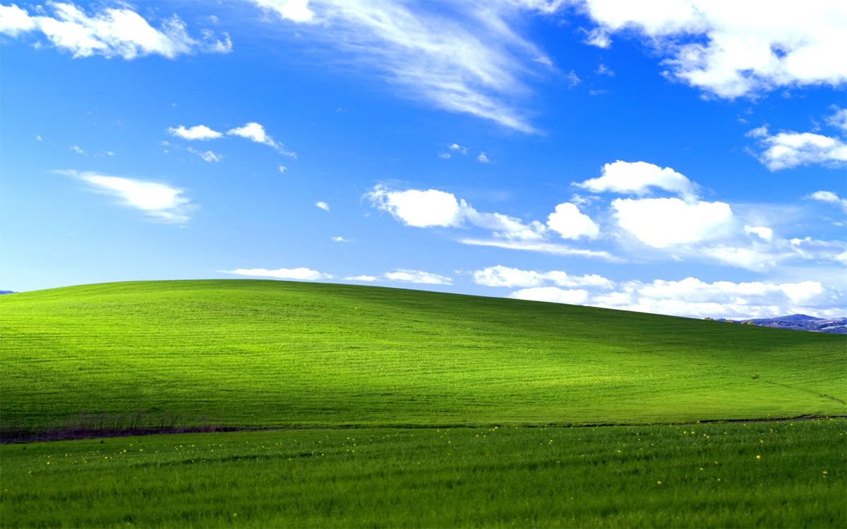 Windows XP desktop background
